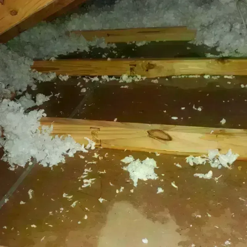 Attic Water Damage in Bennett County, SD