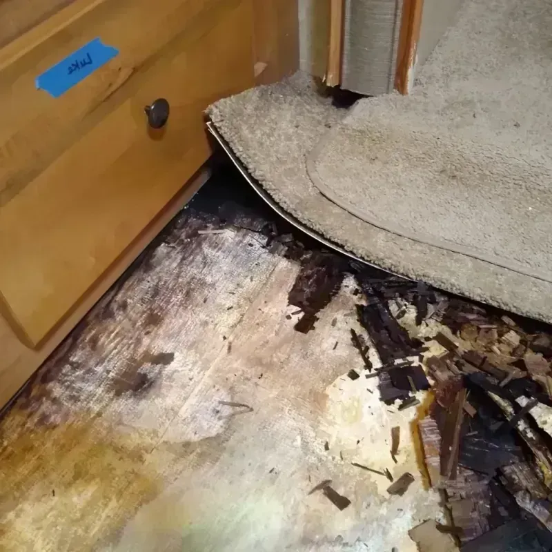 Best Wood Floor Water Damage Service in Bennett County, SD